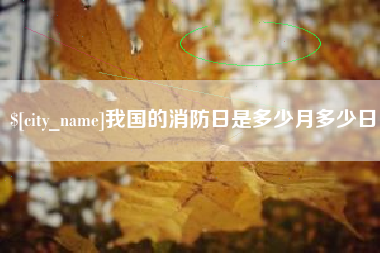 石家庄我国的消防日是多少月多少日