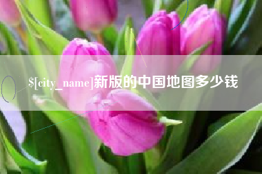 石家庄新版的中国地图多少钱
