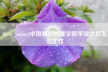 石家庄中国消防救援学院毕业之后怎么工作