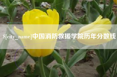 石家庄中国消防救援学院历年分数线