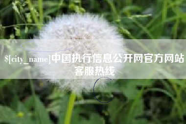 石家庄中国执行信息公开网官方网站客服热线
