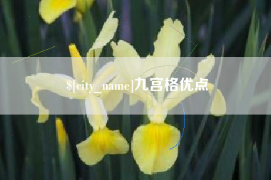 石家庄九宫格优点