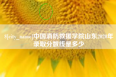 石家庄中国消防救援学院山东2020年录取分数线是多少