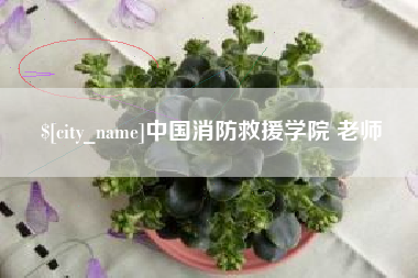 石家庄中国消防救援学院 老师