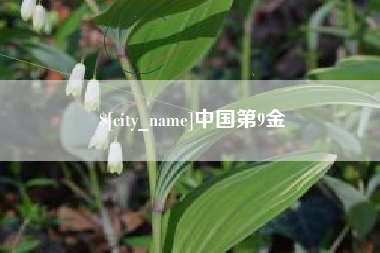 石家庄中国第9金