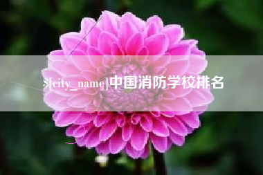石家庄中国消防学校排名
