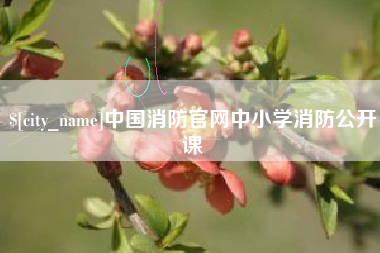 石家庄中国消防官网中小学消防公开课