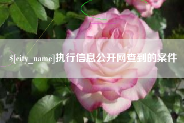 石家庄执行信息公开网查到的案件