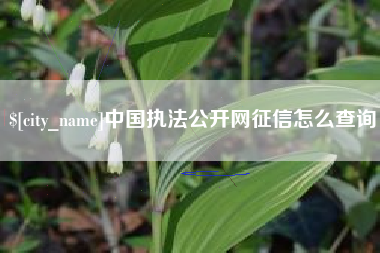 石家庄中国执法公开网征信怎么查询