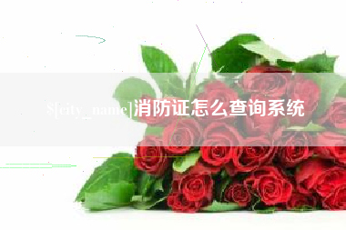 石家庄消防证怎么查询系统