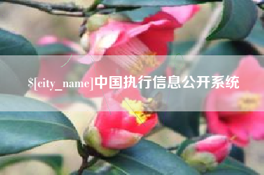 石家庄中国执行信息公开系统