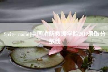 石家庄中国消防救援学院2019录取分数线