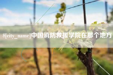石家庄中国消防救援学院在那个地方