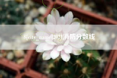 石家庄2021消防分数线