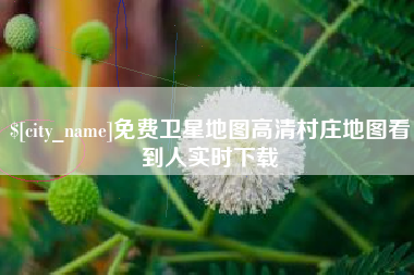 石家庄免费卫星地图高清村庄地图看到人实时下载