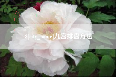 石家庄九宫排盘方法