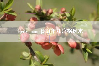 石家庄2021年九宫格风水