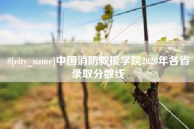 石家庄中国消防救援学院2020年各省录取分数线
