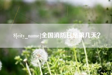石家庄全国消防日是第几天？