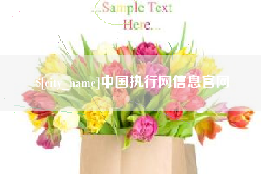 石家庄中国执行网信息官网