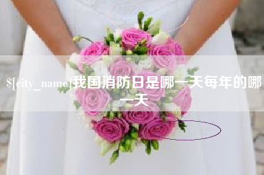 石家庄我国消防日是哪一天每年的哪一天