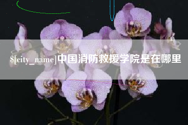 石家庄中国消防救援学院是在哪里