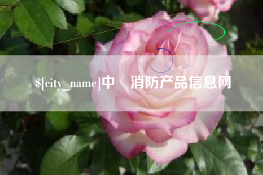 石家庄中囯消防产品信息网