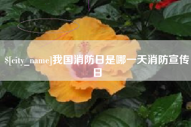 石家庄我国消防日是哪一天消防宣传日