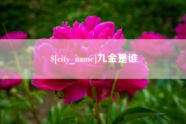 石家庄九金是谁