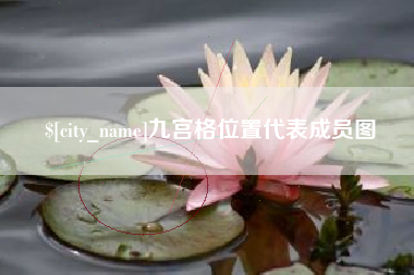 石家庄九宫格位置代表成员图