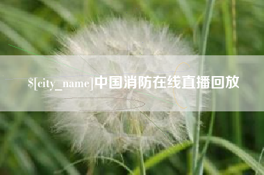 石家庄中国消防在线直播回放