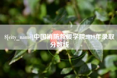 石家庄中国消防救援学院2019年录取分数线