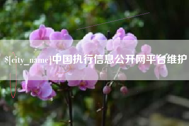 石家庄中国执行信息公开网平台维护