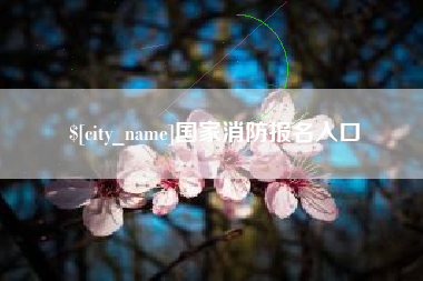 石家庄国家消防报名入口