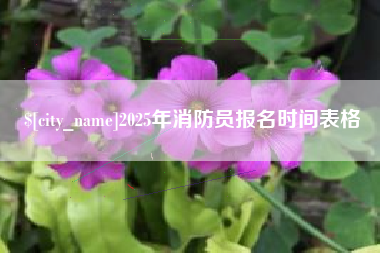 石家庄2025年消防员报名时间表格