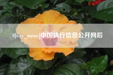 石家庄中国执行信息公开网后