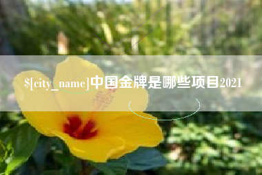 石家庄中国金牌是哪些项目2021