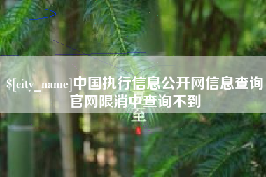 石家庄中国执行信息公开网信息查询官网限消中查询不到