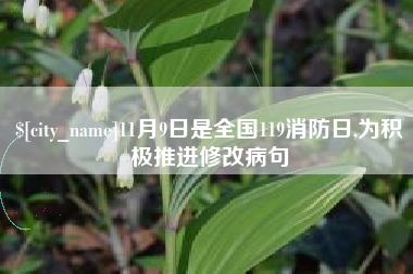 石家庄11月9日是全国119消防日,为积极推进修改病句