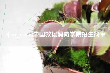 石家庄中国救援消防学院招生简章