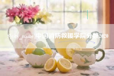 石家庄中国消防救援学院分数2020