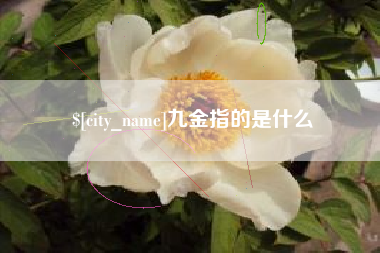 石家庄九金指的是什么