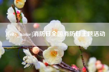 石家庄消防日全国消防日主题活动