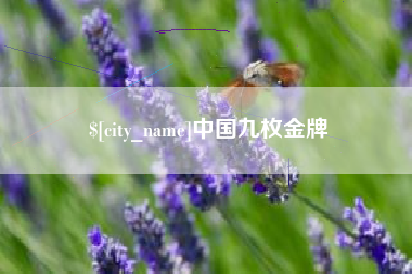石家庄中国九枚金牌