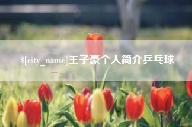 石家庄王子豪个人简介乒乓球