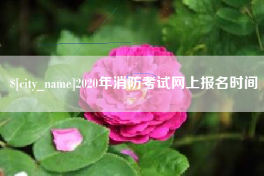 石家庄2020年消防考试网上报名时间