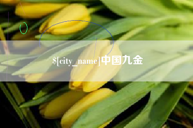 石家庄中国九金