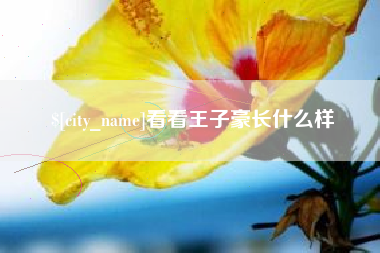 石家庄看看王子豪长什么样