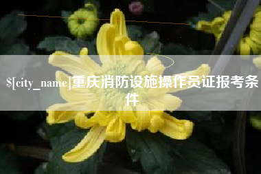 石家庄重庆消防设施操作员证报考条件