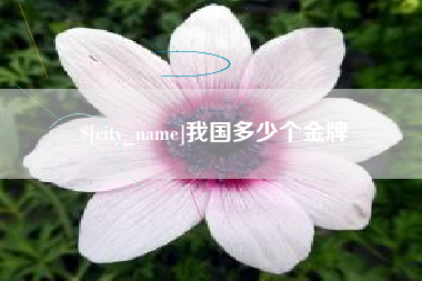 石家庄我国多少个金牌